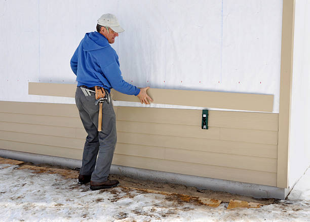 Best Custom Trim and Detailing for Siding  in Wagon Wheel, AZ